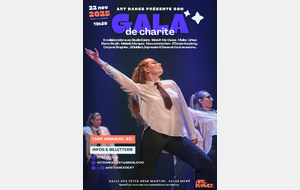 Gala de charité 